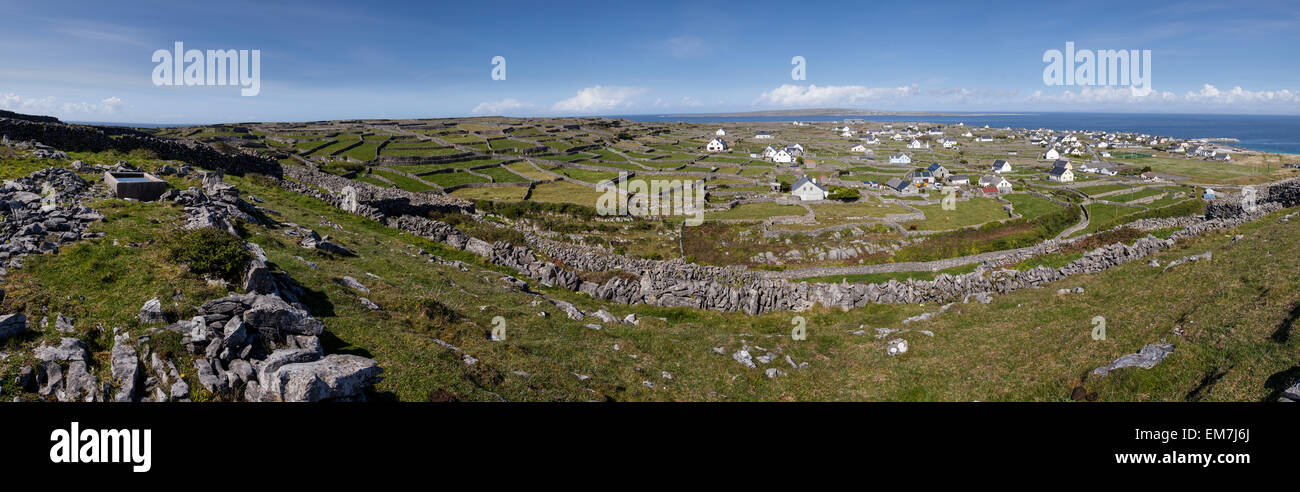 Village sur les îles d'Aran avec murs en pierre, l'Inis Oirr, Îles d'Aran, Irlande Banque D'Images