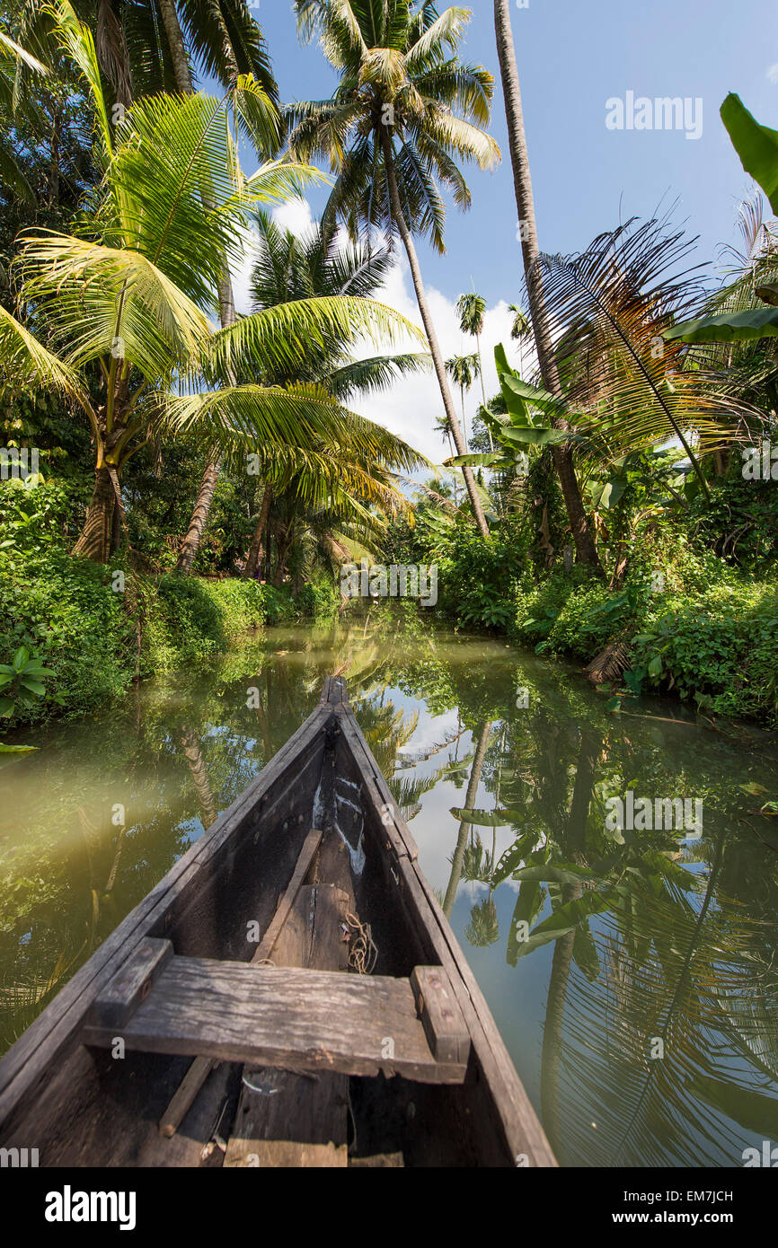 Petit bateau en bois pousse par l'intermédiaire d'un canal bordé de palmiers, l'eau dormante, Champakulam, Kerala, côte de Malabar, en Inde du Sud, Inde Banque D'Images