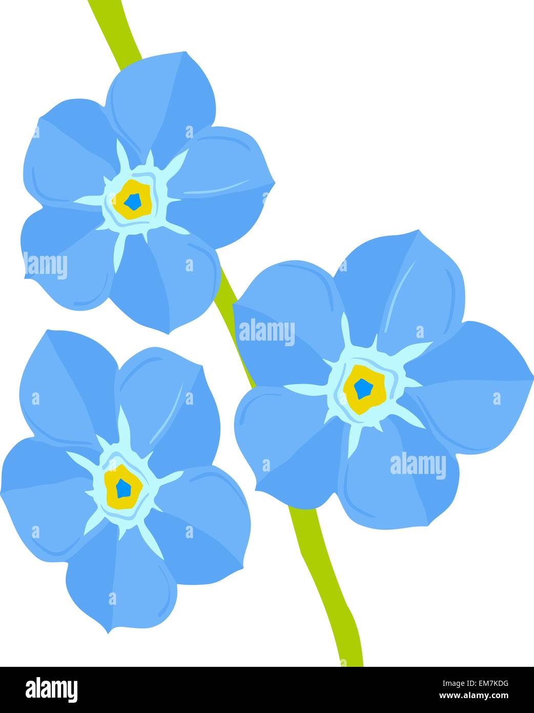 Forget-me-not flower Illustration de Vecteur