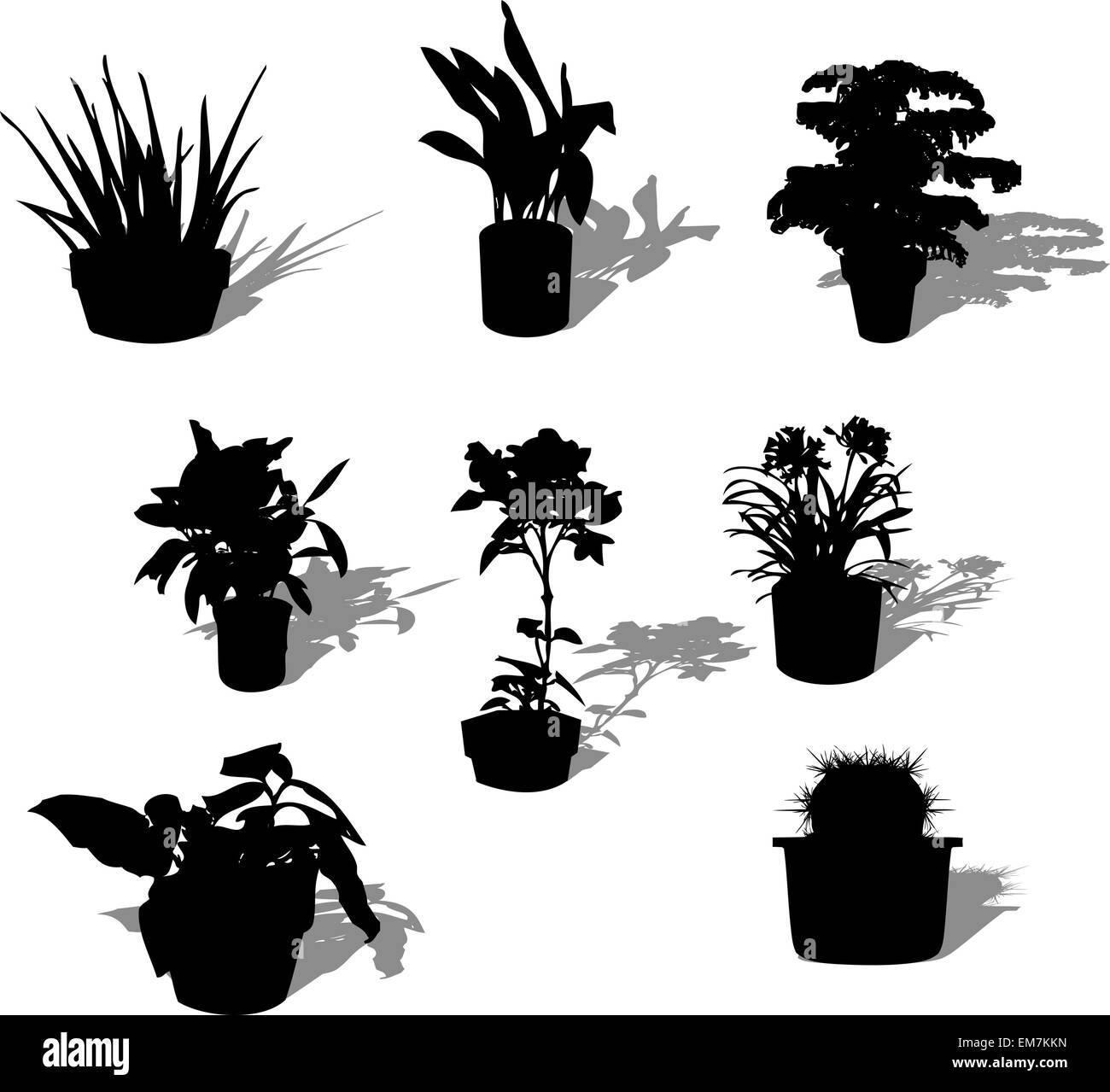 Plantes en pot sur fond blanc Illustration de Vecteur