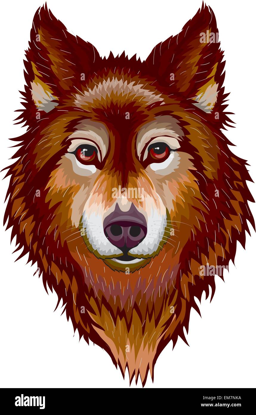 Portrait du loup Illustration de Vecteur