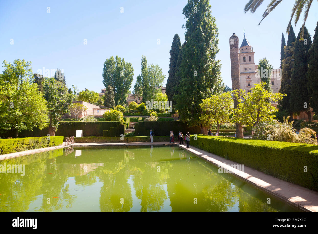 Jardins et étang du Partal palace, à l'Alhambra, Grenade, Espagne Banque D'Images