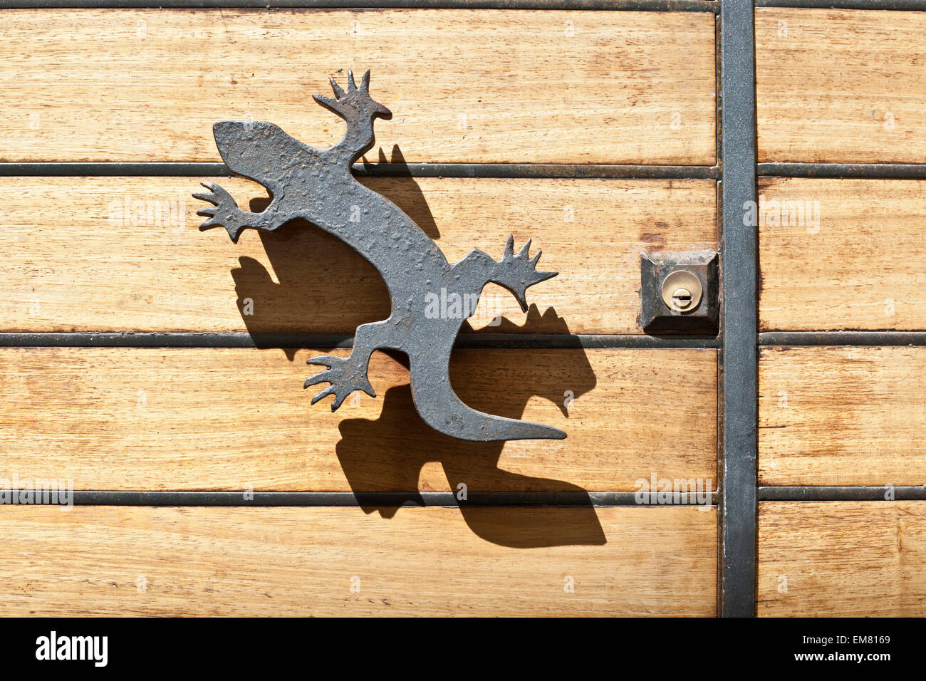 Fer à repasser et poignée lézard ombre sur la porte en bois Banque D'Images