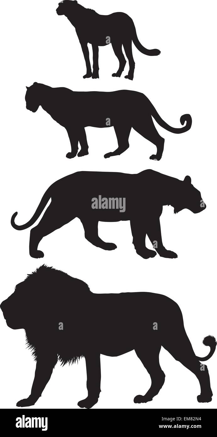 Les prédateurs, les grands félins carnivores Illustration de Vecteur