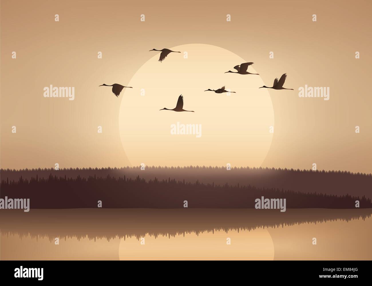 Vol de grues au coucher du soleil Illustration de Vecteur