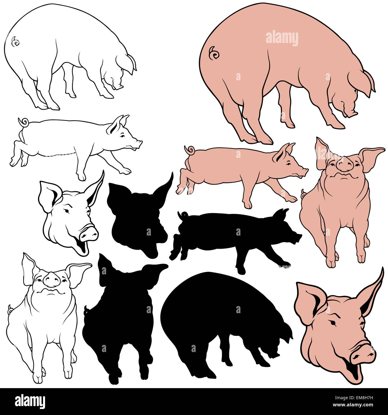 Collection de cochon Illustration de Vecteur