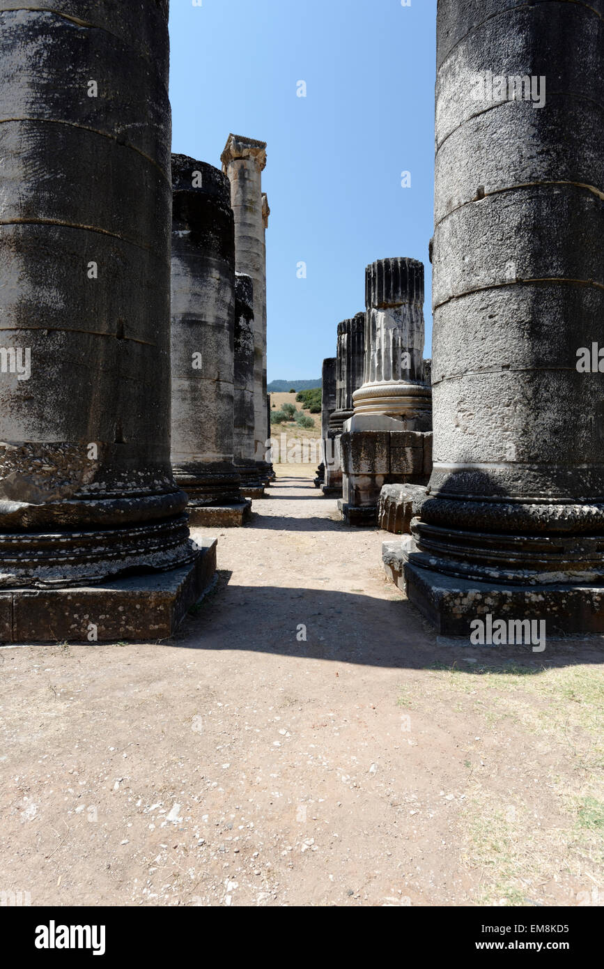 Vue sur la forêt de colonnes à l'extrémité (arrière) du Temple Ionique d'Artemis. Sardes, SART, la Turquie. Entrée du modèle caractéristique Banque D'Images