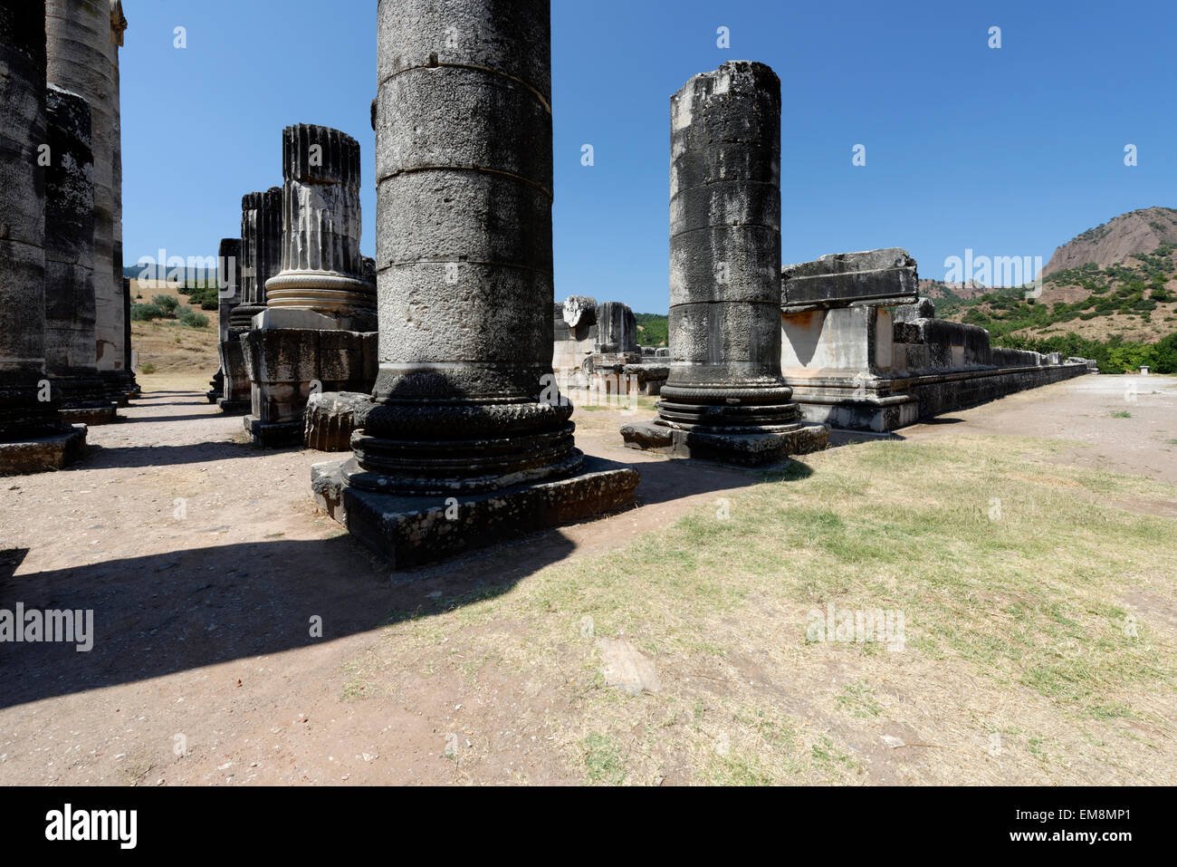 Vue sur la forêt de colonnes à l'extrémité (arrière) du Temple Ionique d'Artemis. Sardes, SART, la Turquie. Entrée du modèle caractéristique Banque D'Images