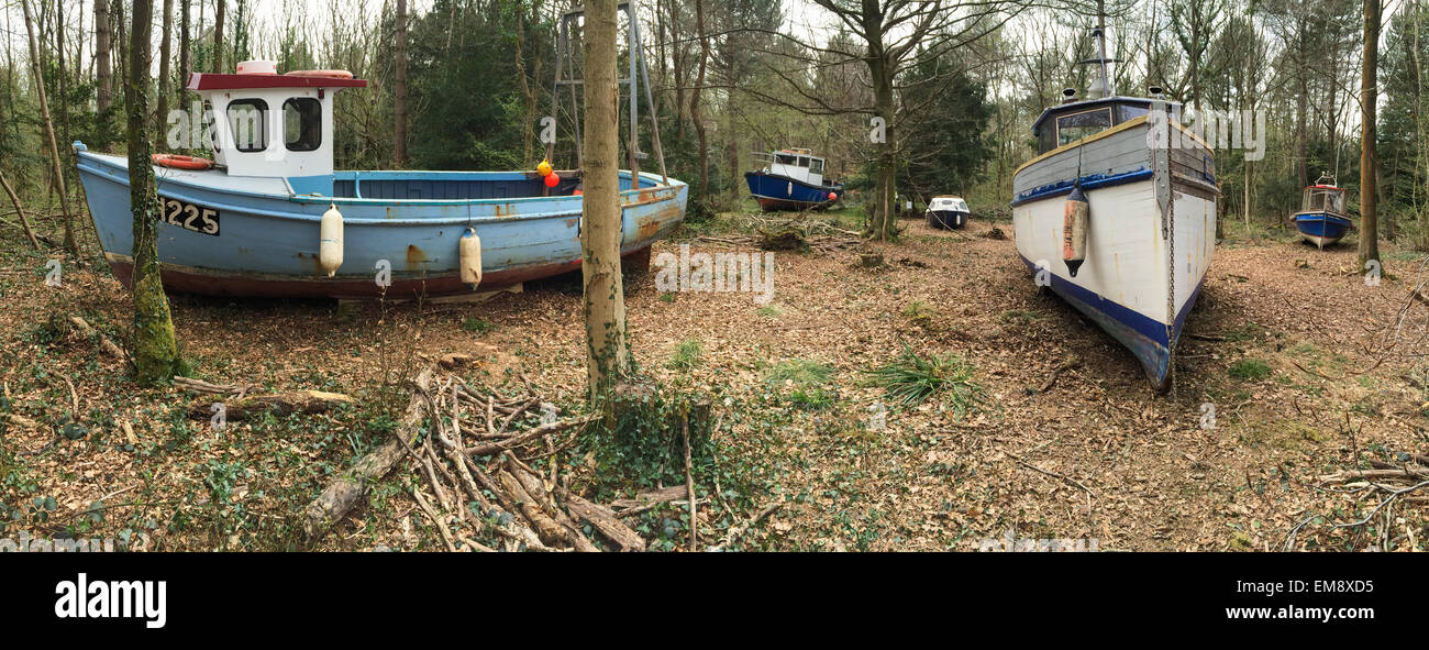 Leigh Woods, North Somerset, près de Bristol, Angleterre, Royaume-Uni 17 Avril 2015 5 bateaux de pêche ont été bloqués dans les bois dans le cadre d'une installation artistique par l'artiste Bristol Luke Jerram. Il s'appelle retirée et l'espoir d'attirer l'attention sur le changement climatique et la situation de l'industrie de la pêche en 2015, l'année de Bristol est capitale verte européenne. Il ouvre officiellement ses portes le samedi 18 avril. Carolyn Eaton / Alamy Live News Banque D'Images