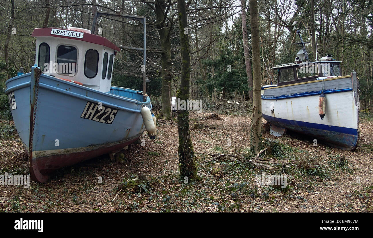 Leigh Woods, North Somerset, près de Bristol, Angleterre, Royaume-Uni 17 Avril 2015 5 navires de pêche ont été bloqués dans les bois dans le cadre d'une installation artistique par l'artiste Bristol Luke Jerram. Il s'appelle retirée et l'espoir d'attirer l'attention sur le changement climatique et la situation de l'industrie de la pêche en 2015, l'année de Bristol est capitale verte européenne. Il ouvre officiellement ses portes le samedi 18 avril. Carolyn Eaton / Alamy Live News Banque D'Images