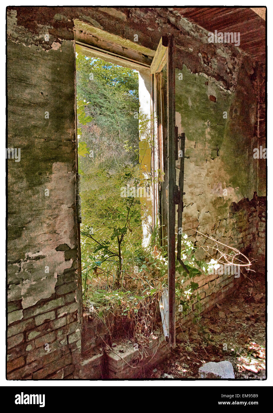 Intérieur de ferme abandonnée en Italie. Des poutres apparentes décombres les embrasures de plâtre des murs nature retrouver une place en ruine Banque D'Images
