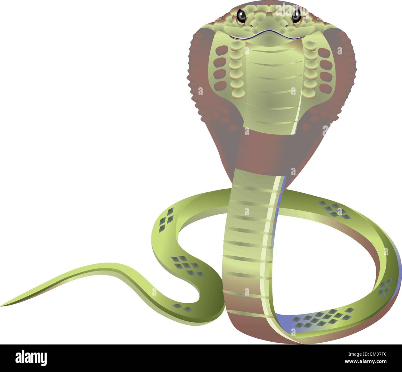 Cartoon cobra. Vector illustration Illustration de Vecteur