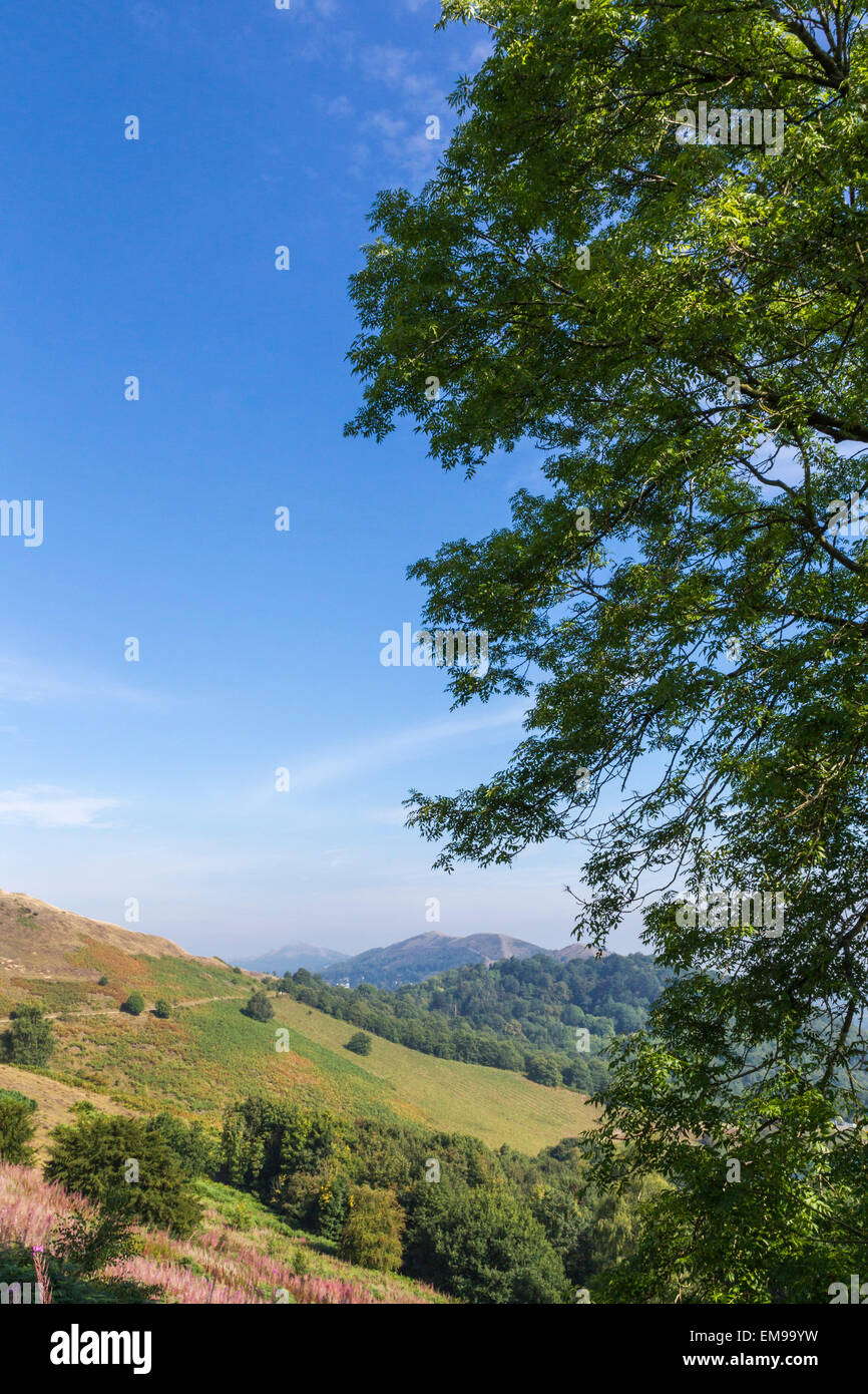 Vue de côté du camp britannique avec des collines de Malvern en arrière-plan Banque D'Images