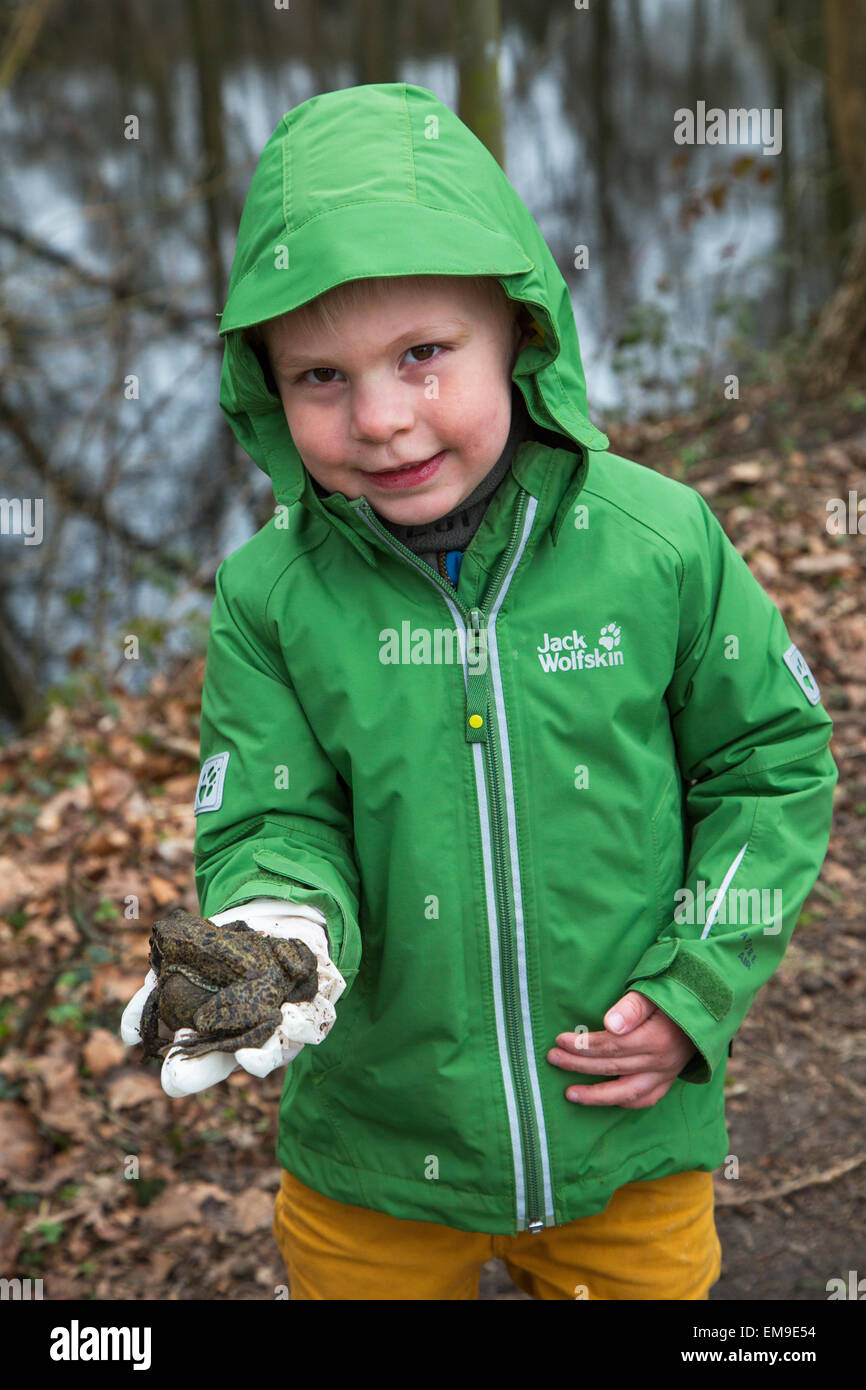 Petit enfant de couple holding commun européen brown les grenouilles (Rana temporaria) dans la main gantée Banque D'Images