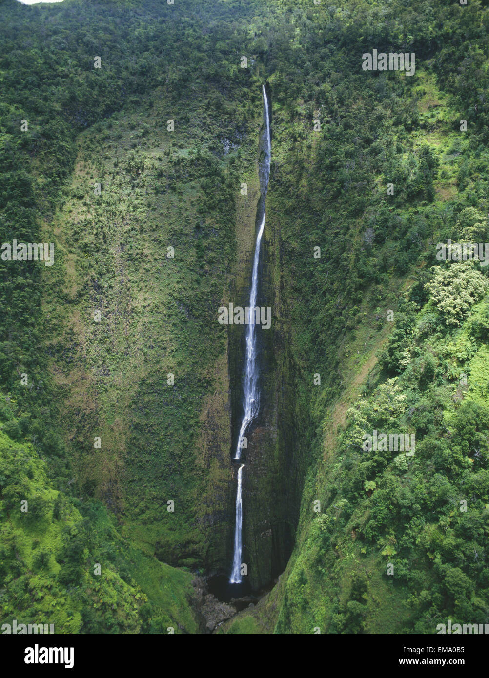 Hawaii, Big Island, Hamakua Coast, Waimanu Vallée, Wai'ilikahi Falls. Banque D'Images