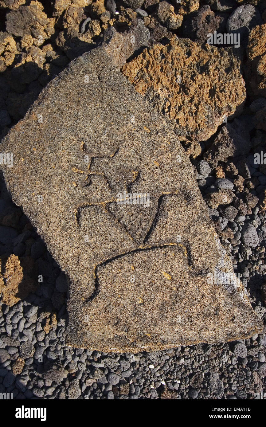 Hawaii, Big Island, pétroglyphes Puako, gros plan de la sculpture sur Single Rock Banque D'Images