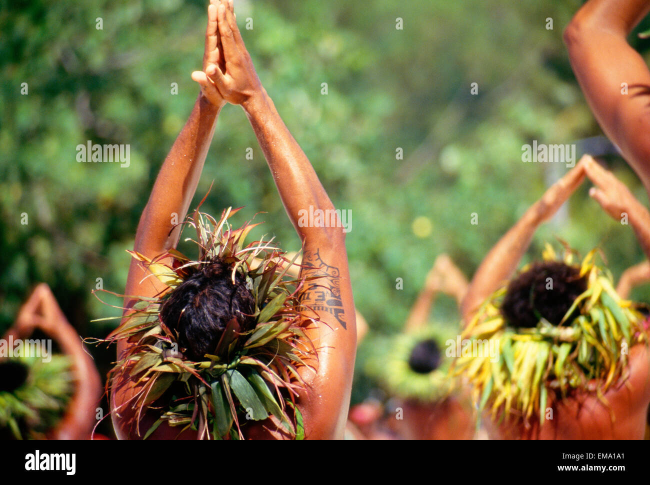 Polynésie Française, Tahiti, Vue de derrière les hommes à l'extérieur, la danse tahitienne bras levés, portant sur la tête Haku Banque D'Images