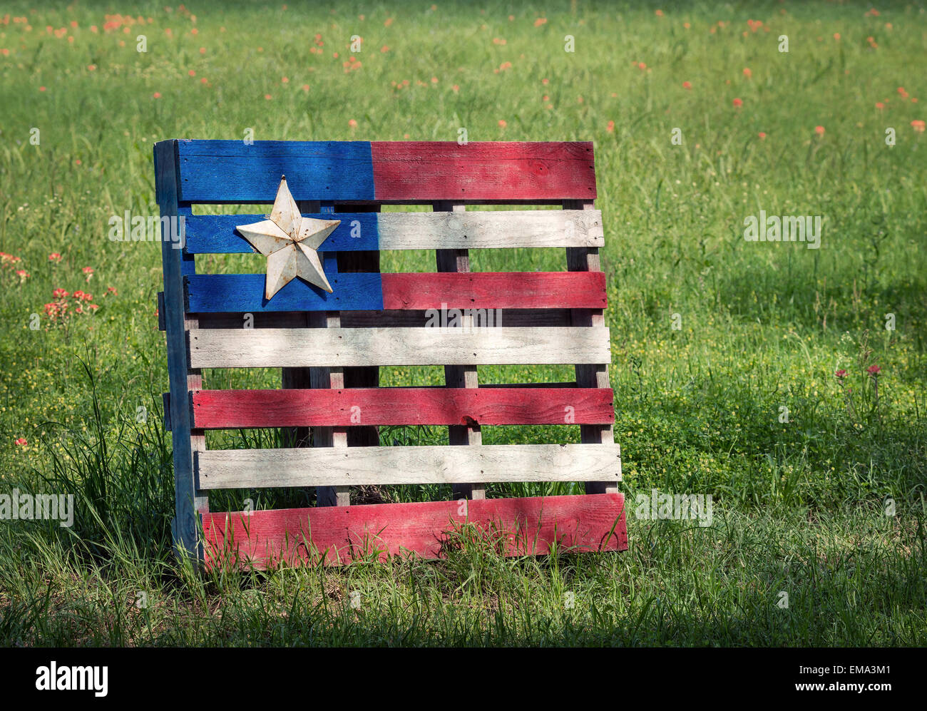 Palette en bois décoratif avec drapeau Texas star affiche contre spring meadow Banque D'Images