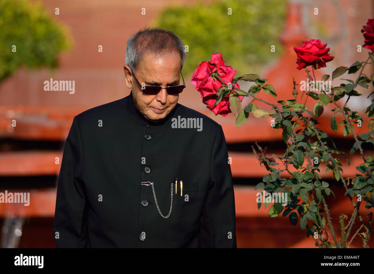 Pranab Mukherjee, président de l'Inde qui posent avec des roses dans le jardin Moghol Banque D'Images