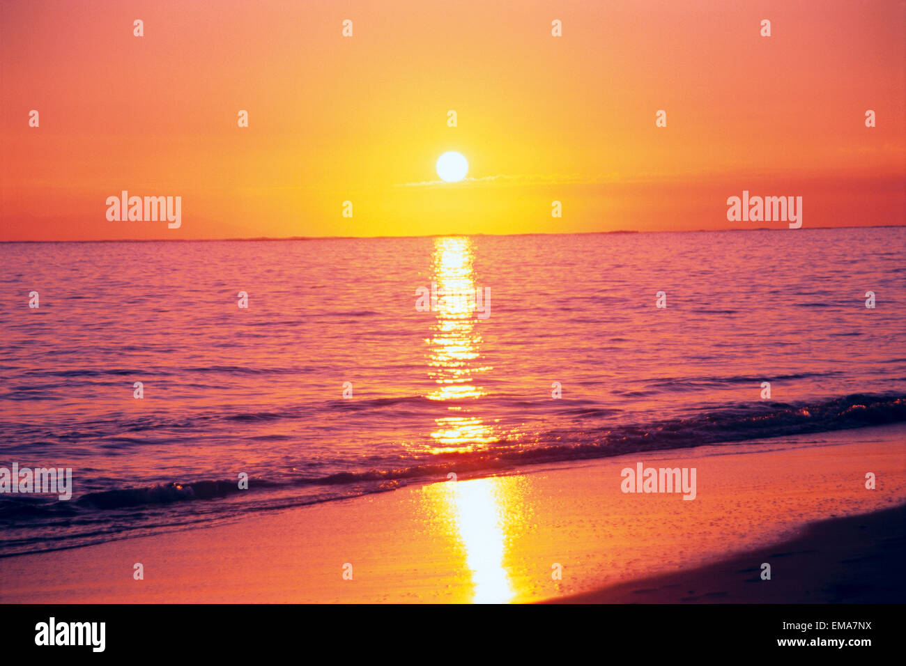 Rose Orange avec ciel coucher Soleil Ball, une réflexion sur l