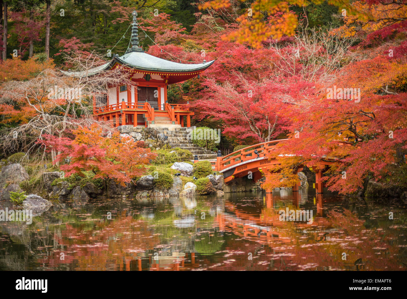 Temple Daigoji dans les érables, momiji saison, Kyoto, Japon Banque D'Images