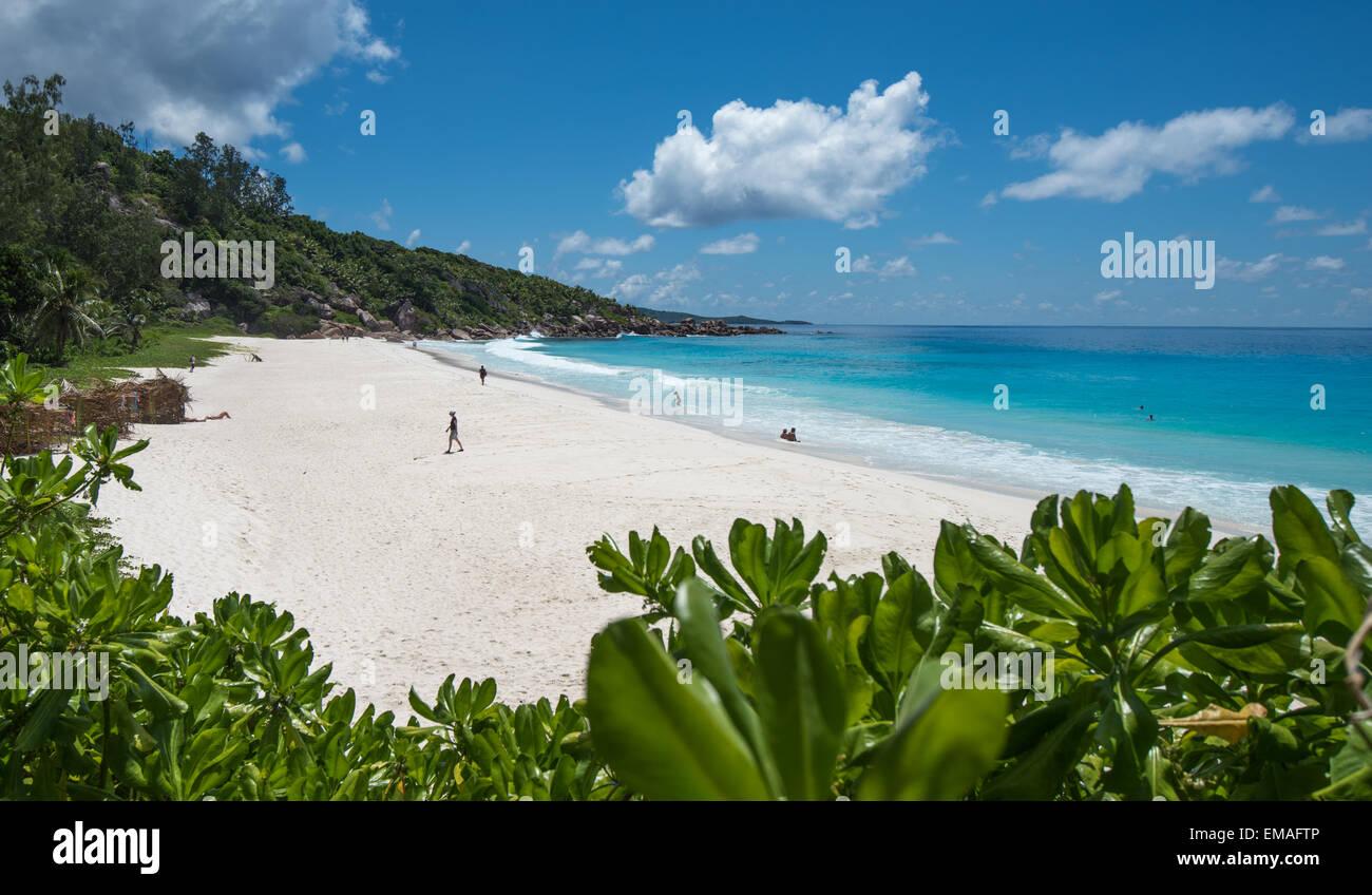 Petit Anse plage tropicale, l'île de La Digue, Seychelles Banque D'Images