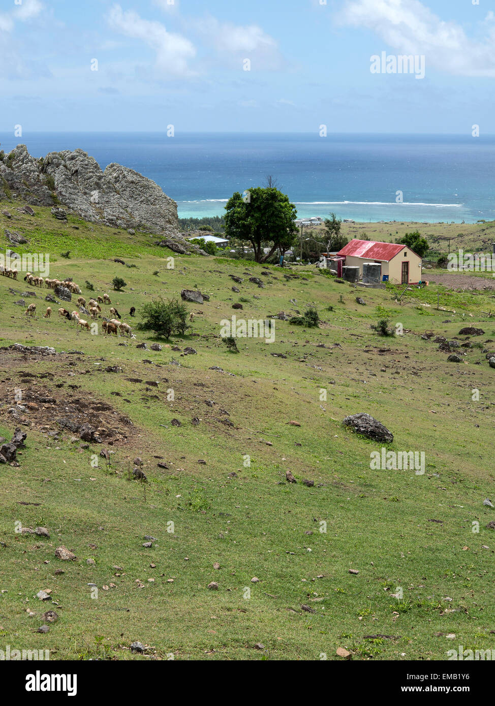 Bergerie route de Pointe Coton, l'île Rodrigues, l'île Maurice Banque D'Images