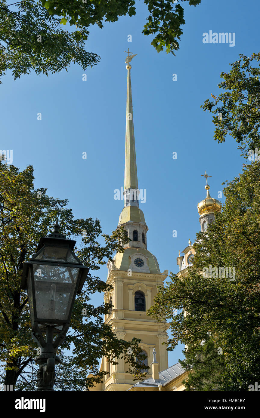 Flèche de la Cathédrale Pierre-et-Paul à Saint-Pétersbourg, Russie Banque D'Images