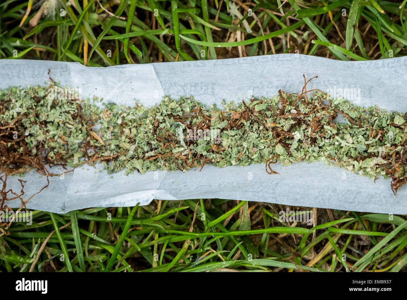 Londres, Royaume-Uni. 19 avril, 2015. Pro Rally annuel 420 Cannabis dans Hyde Park Crédit : Guy Josse/Alamy Live News Banque D'Images