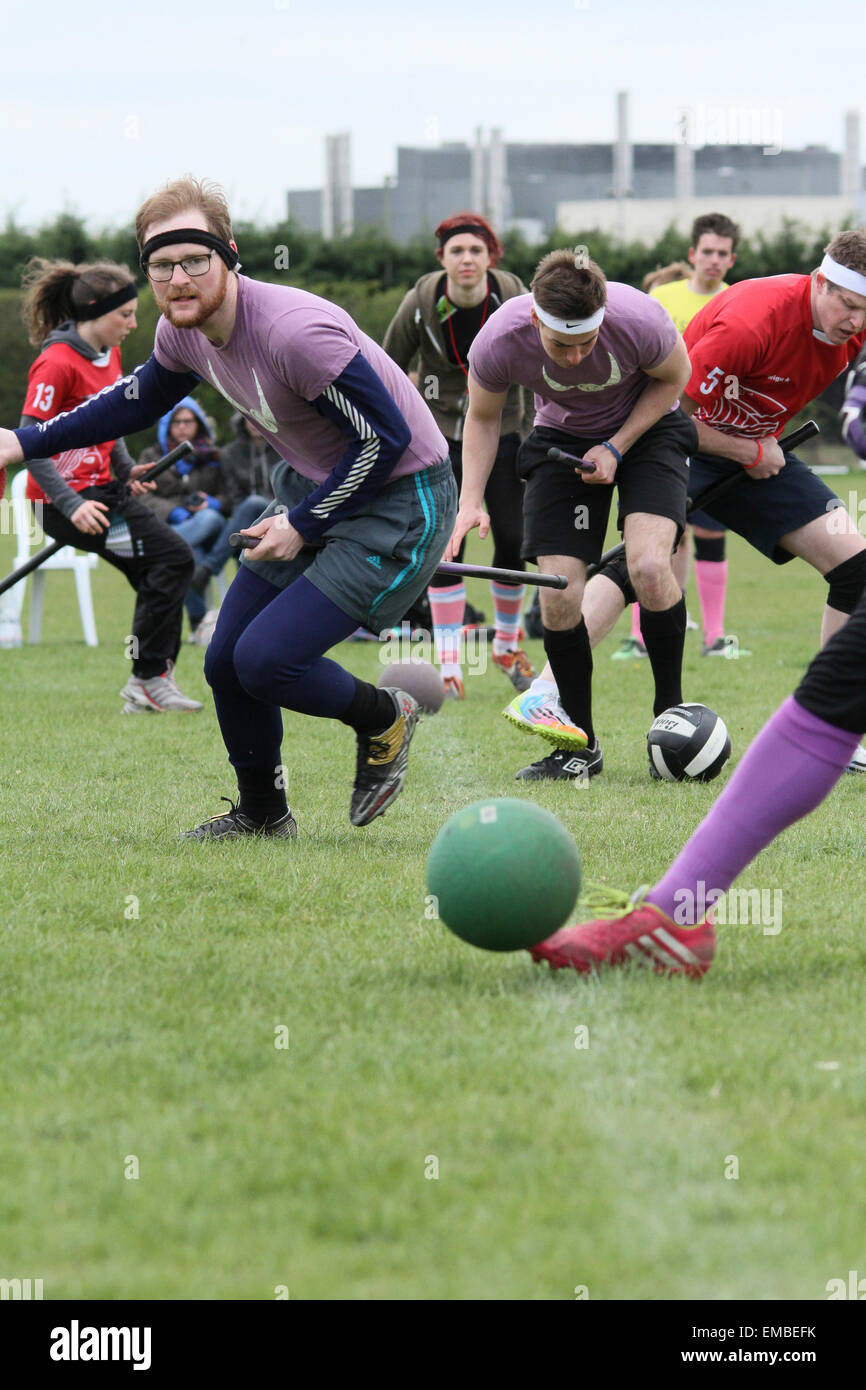 harry potter quidditch champions harry potter quidditch champions