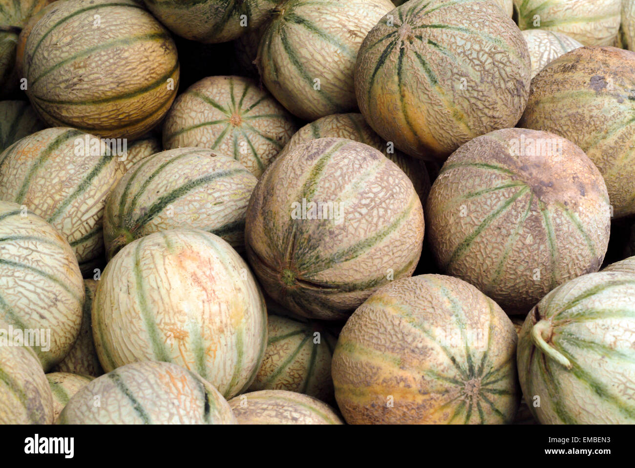 Ou melon cantaloup ou melon filet sur un stand de marché en Provence France Photo Stock Alamy