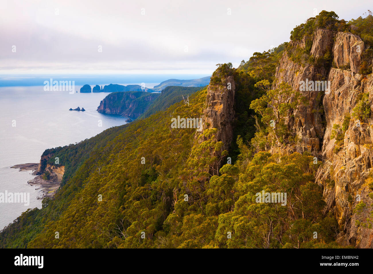 Vue de Clemes Peak - Tasman National Park - Tasmanie - Australie Banque D'Images
