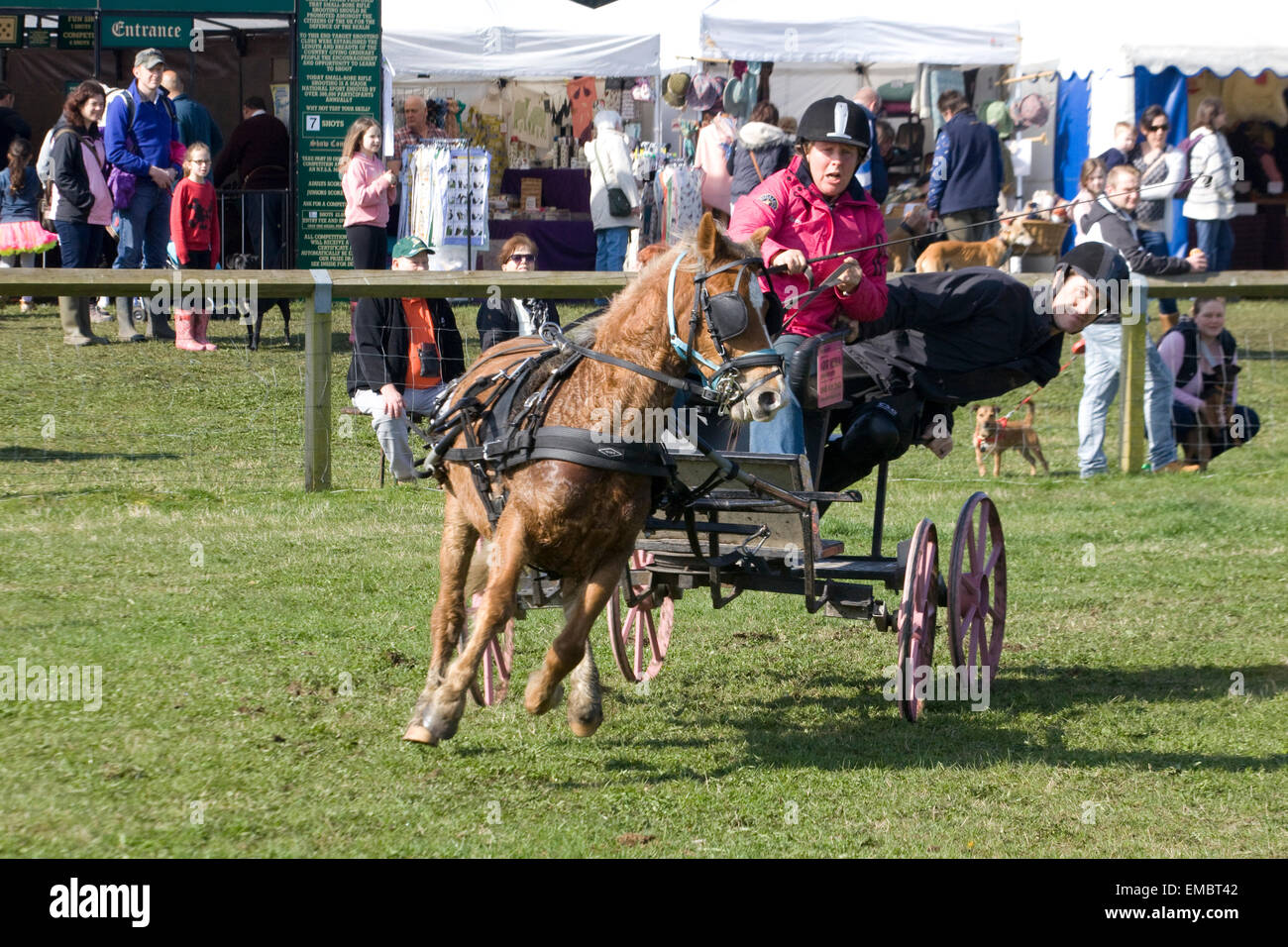 Faisceau double courir la conduite d'un sport équestre Banque D'Images