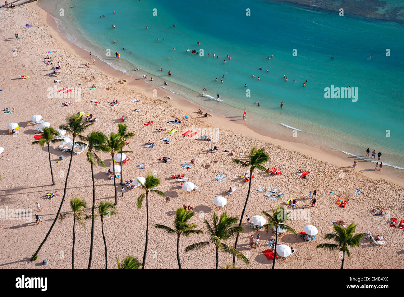 La plage de Waikiki, Oahu, Hawaii Banque D'Images