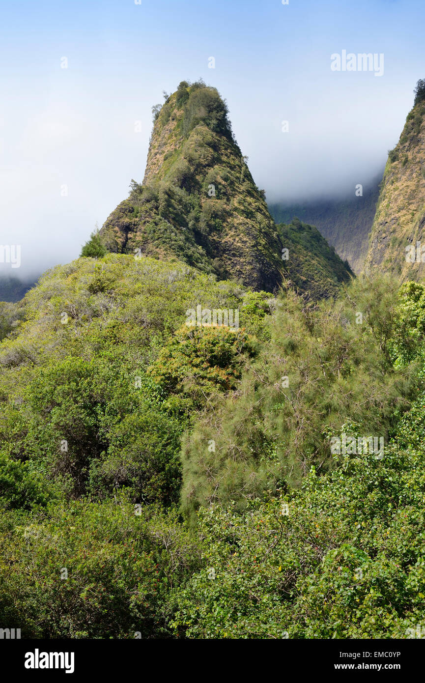 USA, Hawaii, Maui, Wailuku, Iao Needle dans l'IAO Valley Banque D'Images