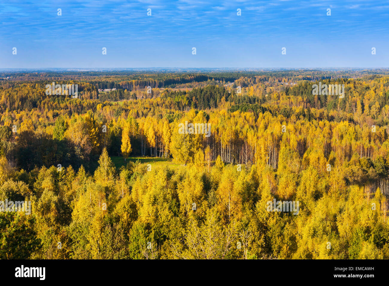 L'Estonie, comté de Voru, vue d'Maeekonnu à tour arbres colorés Banque D'Images