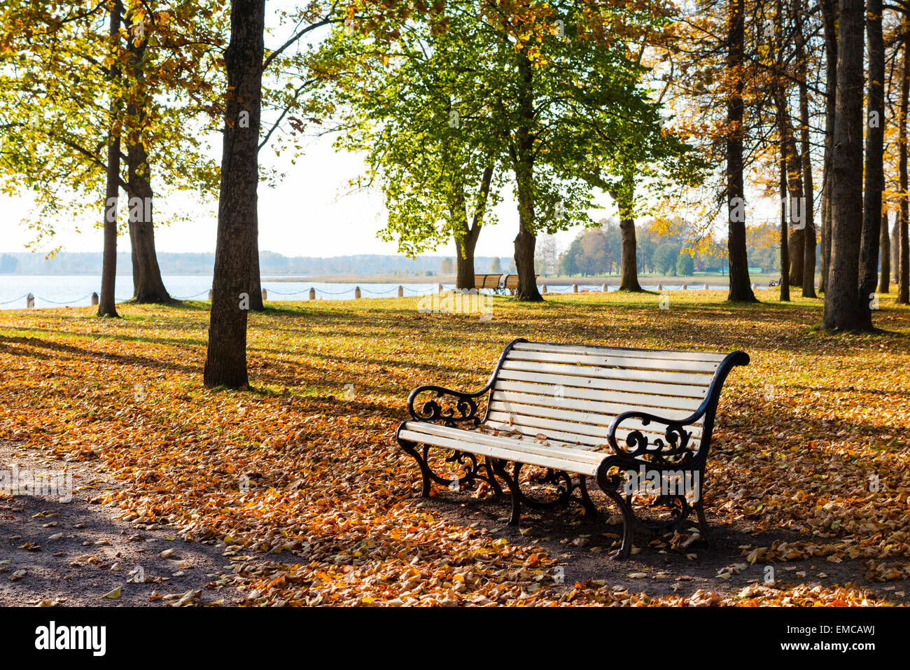 L'Estonie, Voru, banc de parc au lac set en automne Banque D'Images