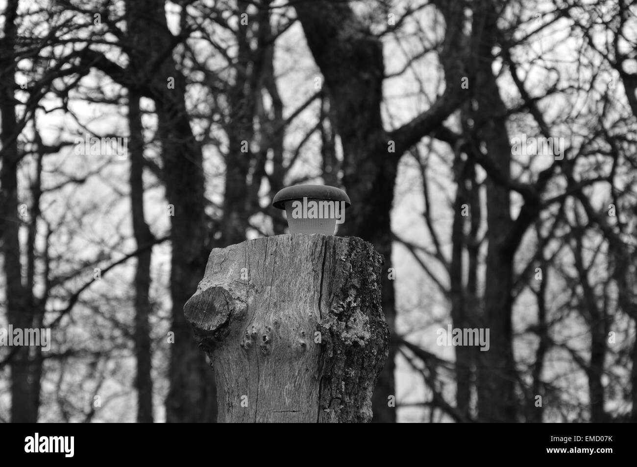 Sud de la France en noir et blanc Banque D'Images