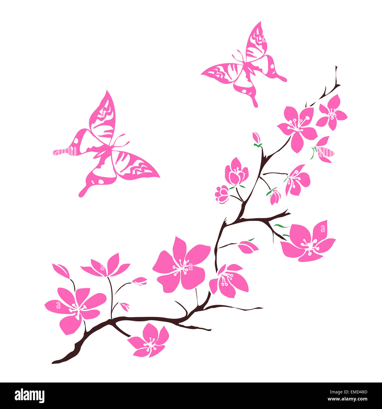 Sakura en fleurs et brindilles papillon rose. Vector illustration Banque D'Images