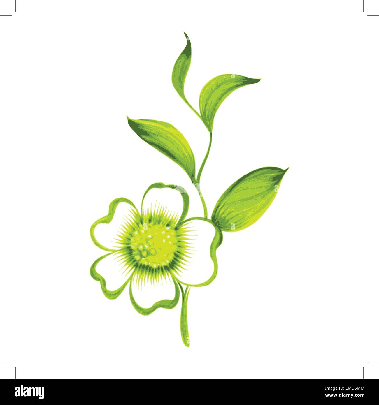 Succursale de thé vert avec des fleurs et des feuilles Illustration de Vecteur