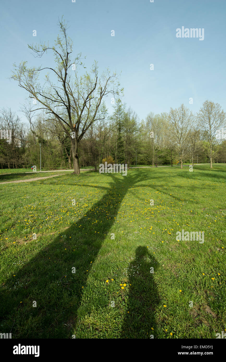 L'ombre du photographe dans le parc Banque D'Images