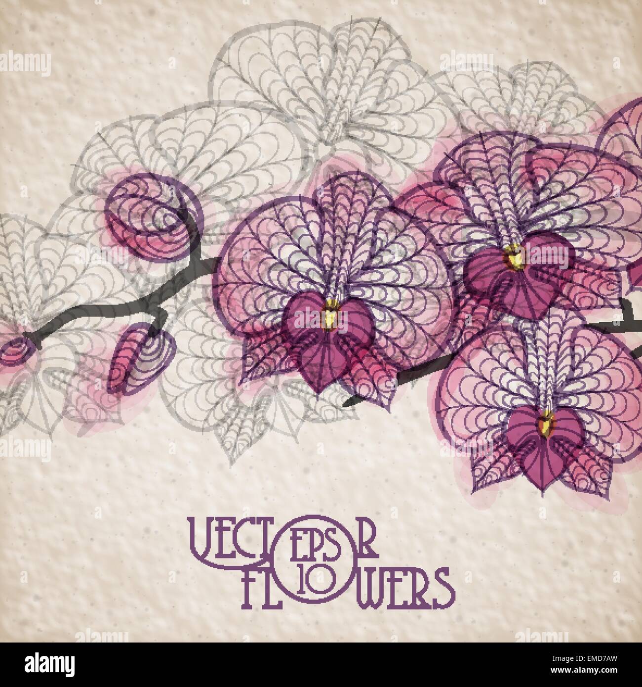 Dessin à la main orchidée fleur Illustration de Vecteur