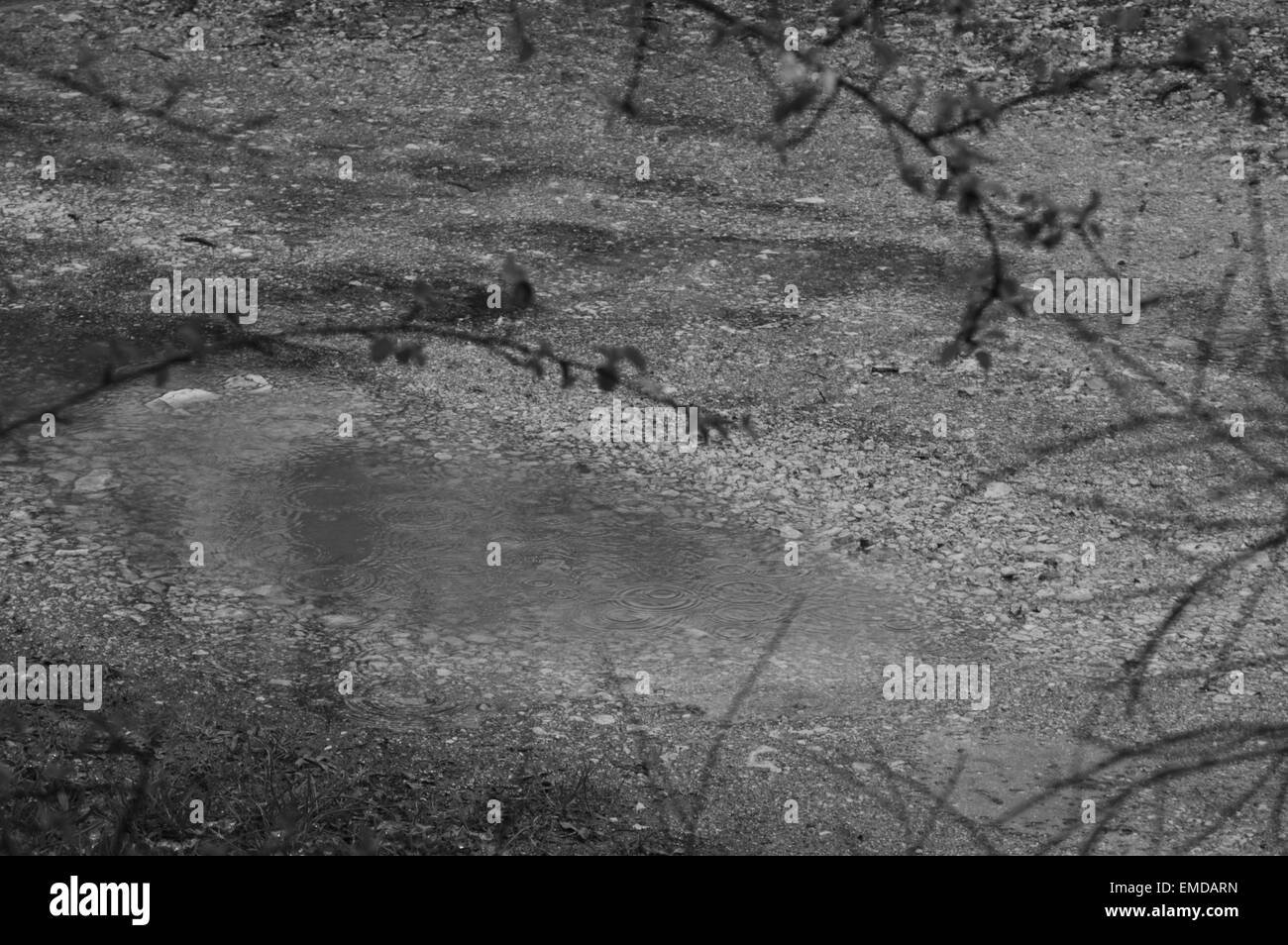 La pluie dans le sud de la France (Jour de pluie / noir et blanc) Banque D'Images
