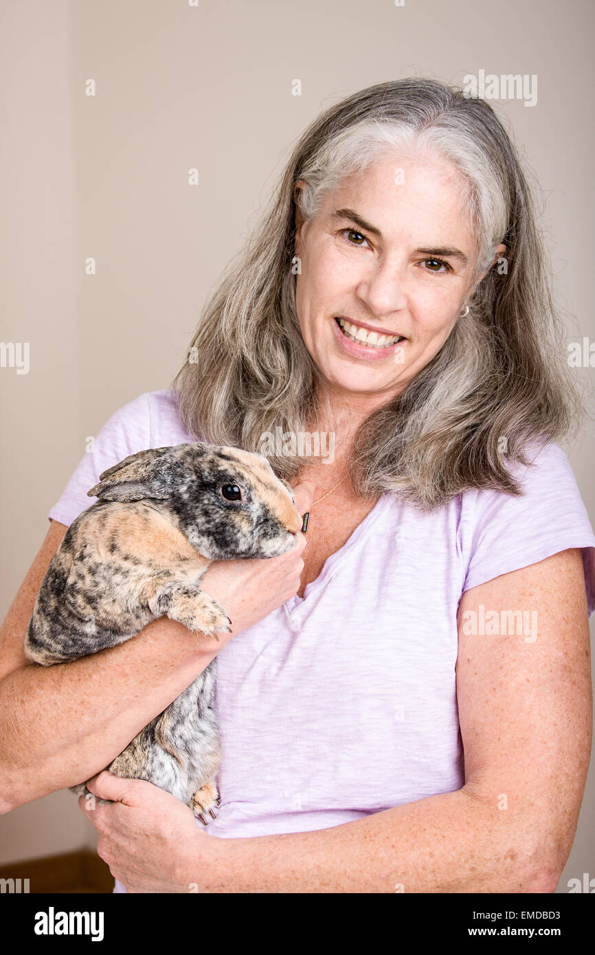 Mini pet rabbit arlequin Rex et bercé par une femme Banque D'Images