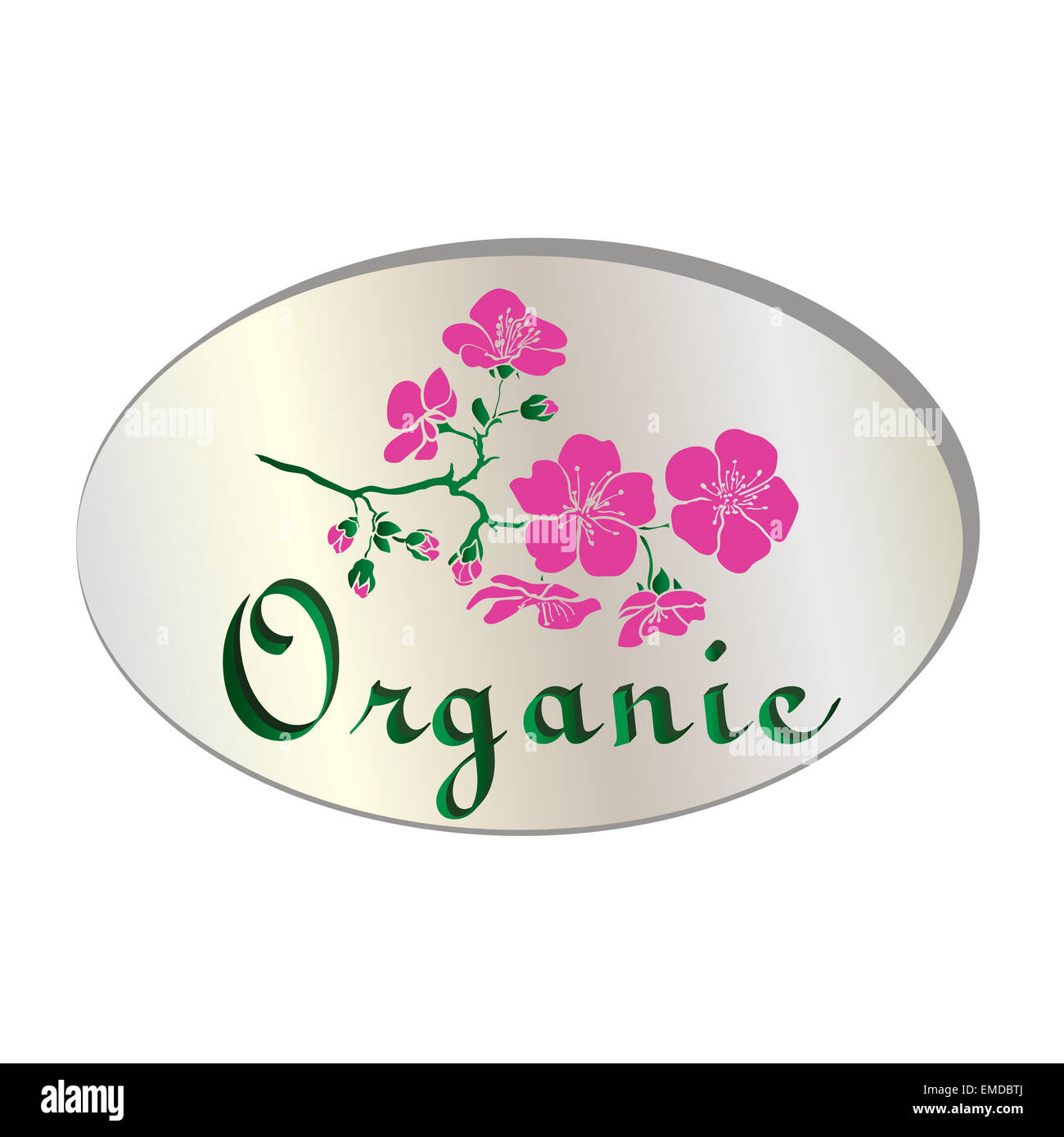 Icône fleur organique naturelle. Vector illustration Banque D'Images