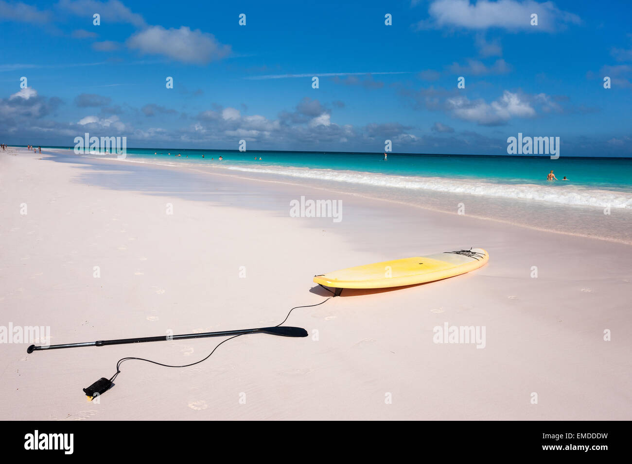 With Surfboard on beach Banque D'Images