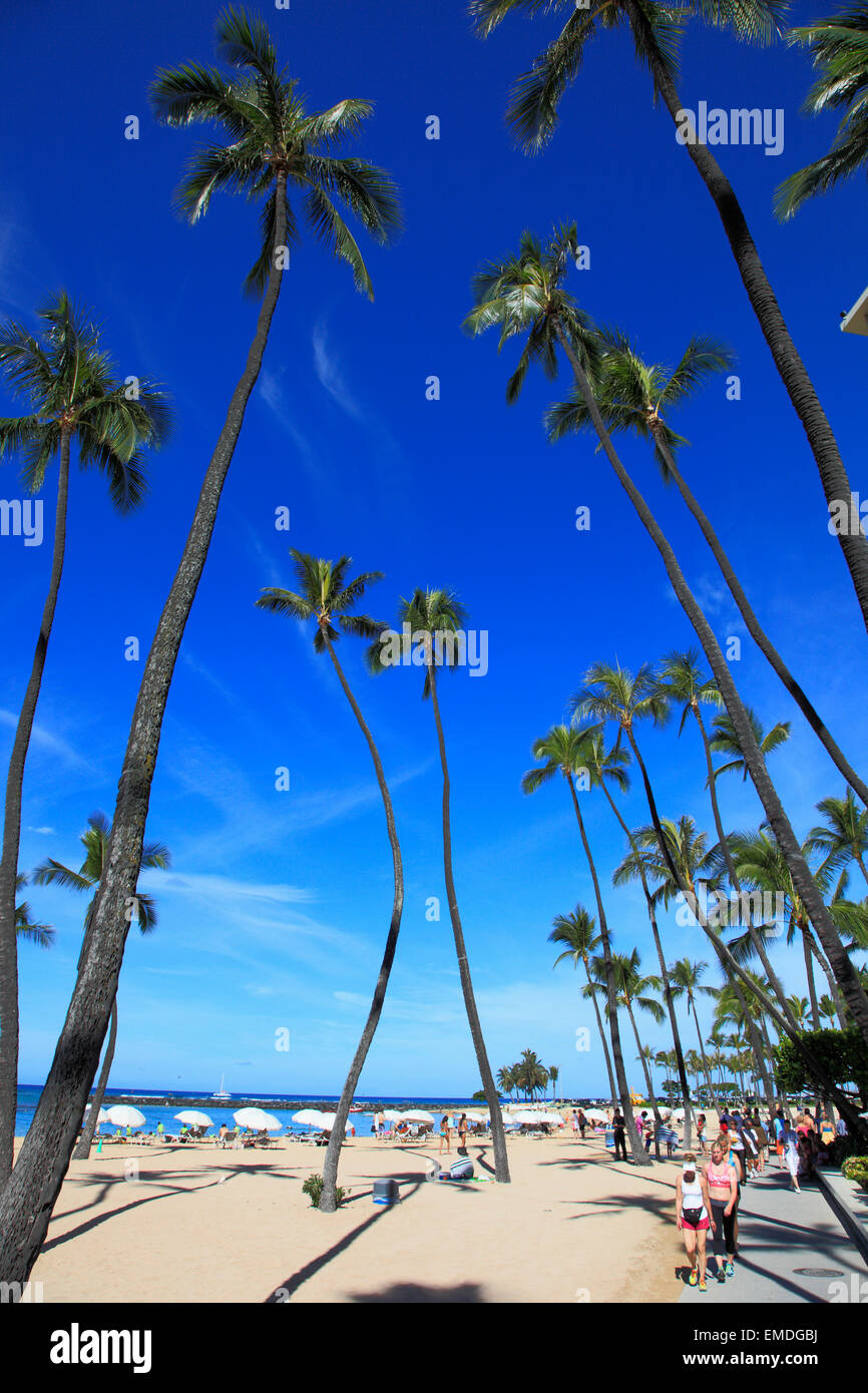 Hawaii, Oahu, Waikiki, plage, palmiers, les gens, Banque D'Images