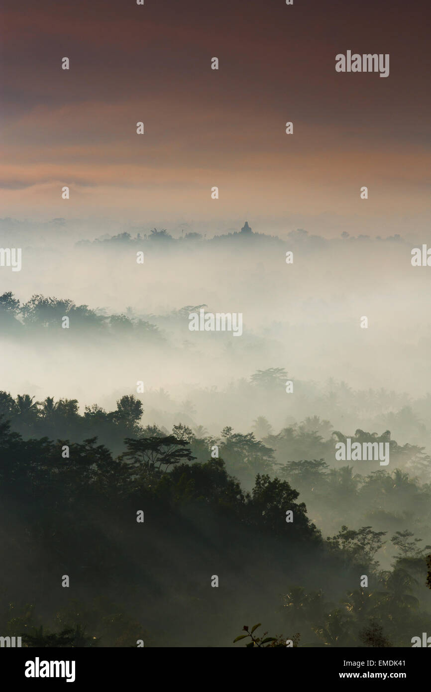 Paysage à l'aube de la jungle près de Borobudur temple bouddhiste. Magelang, Java. L'Indonésie, l'Asie. Banque D'Images