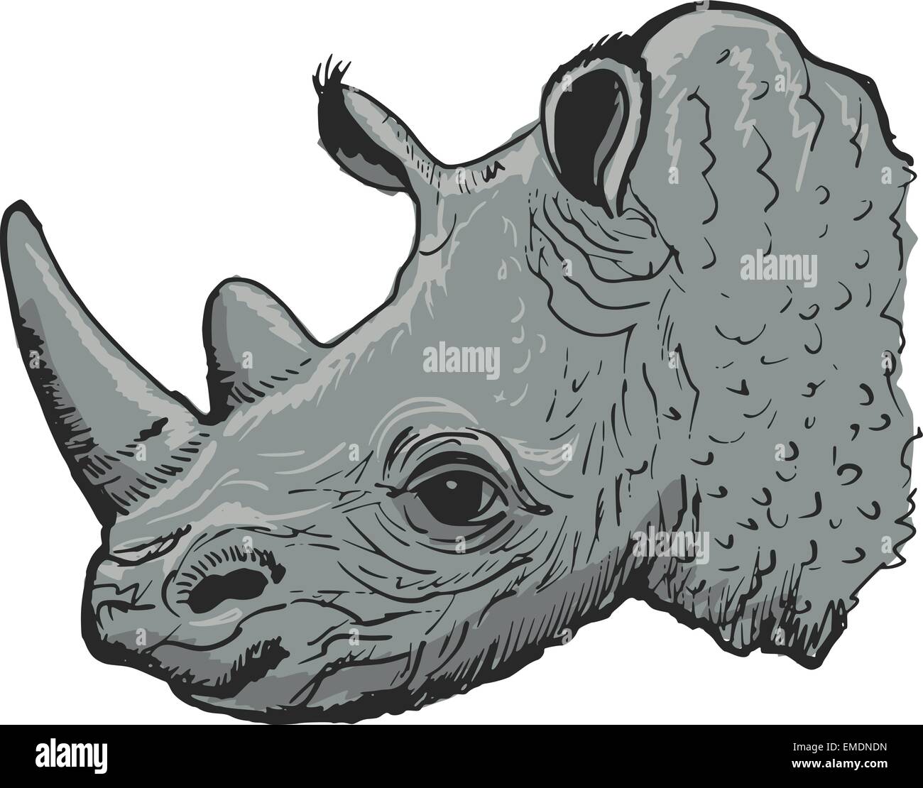 rhinocéros Illustration de Vecteur