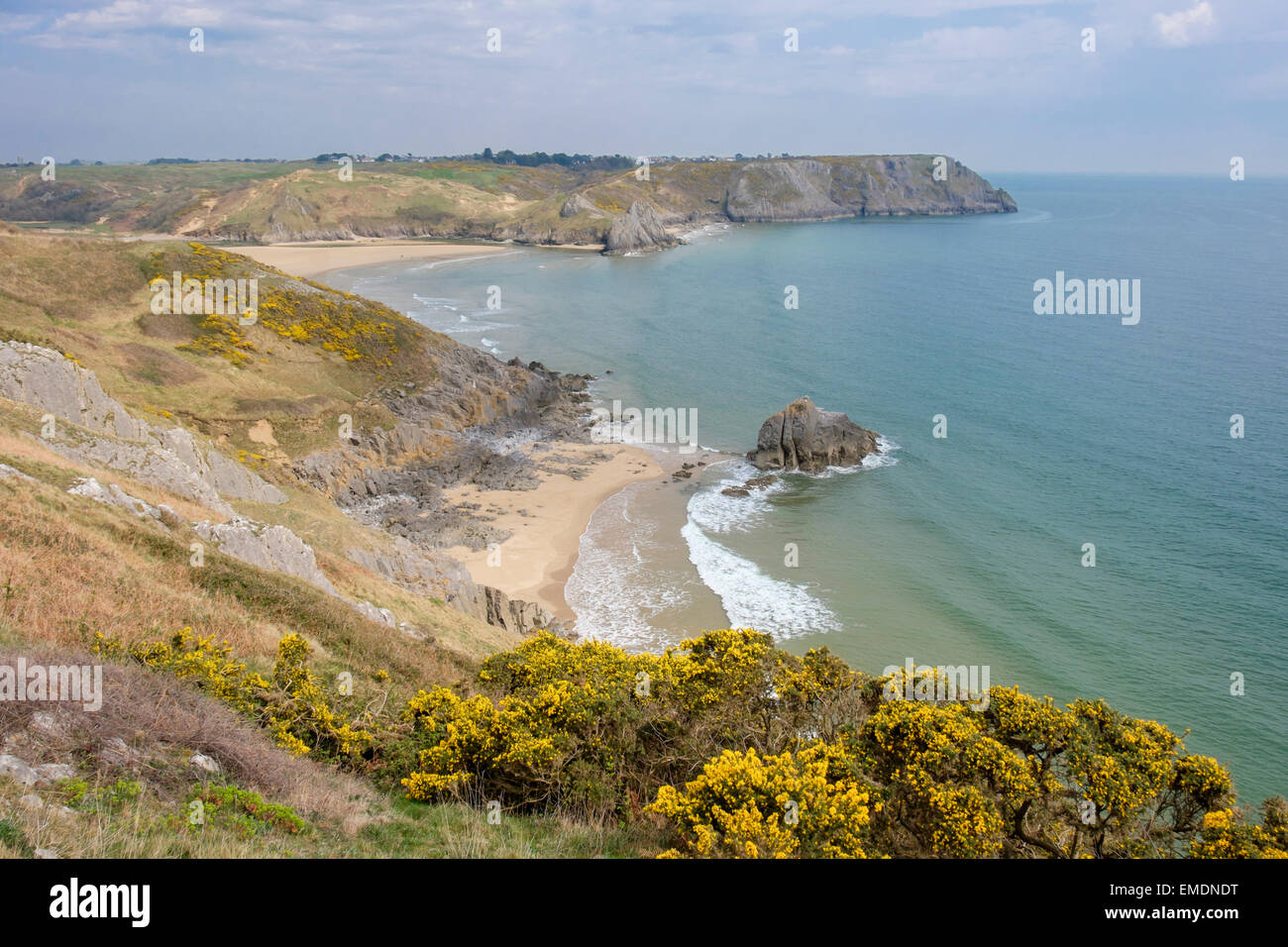 Vue vers le bas des falaises de la baie de trois grand Tor au printemps sur la péninsule de Gower. Penmaen West Glamorgan Swansea Galles du Sud Royaume-Uni Grande-Bretagne Banque D'Images